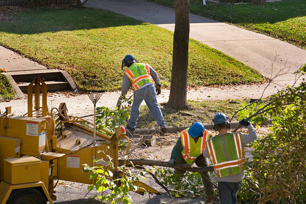 Best Arborist Consultation Services  in Poplar Cotton Center, CA